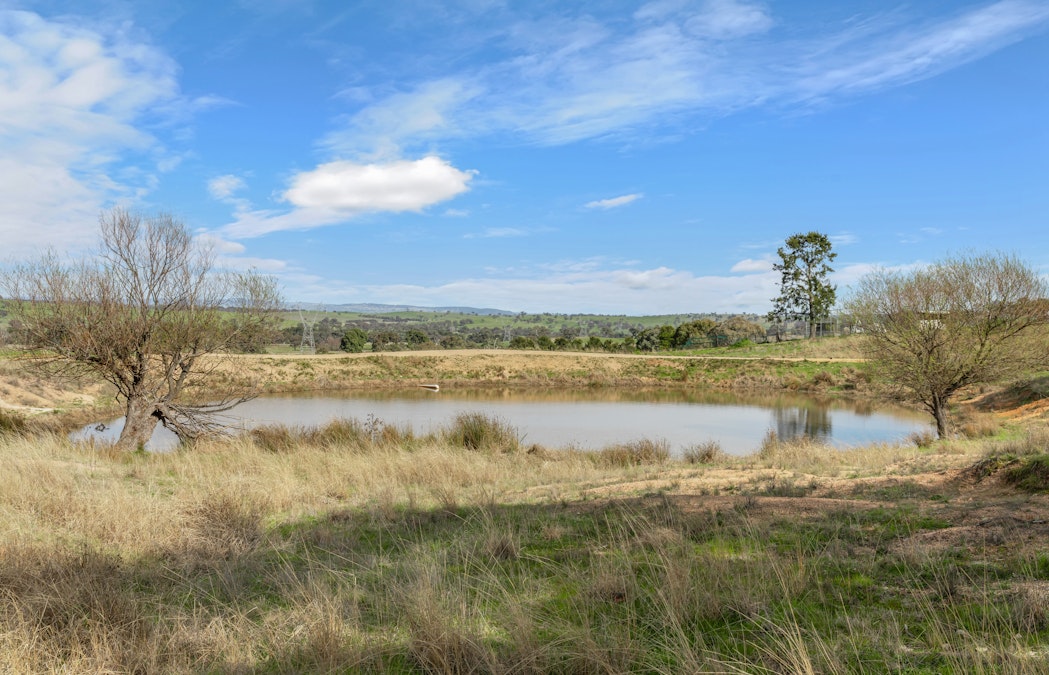 929 Limekilns Road, Yarras, NSW, 2795 - Image 16