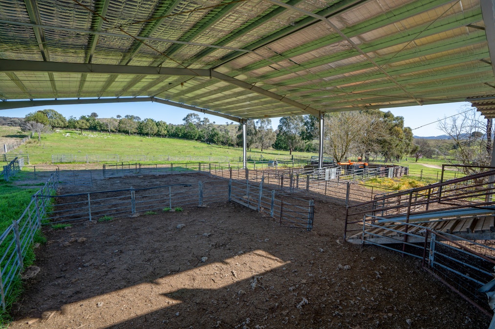 401 & 407 Dry Creek Road, Orange, NSW, 2800 - Image 25