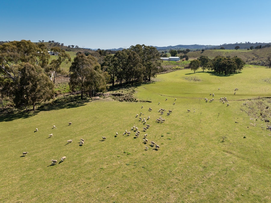 401 & 407 Dry Creek Road, Orange, NSW, 2800 - Image 27