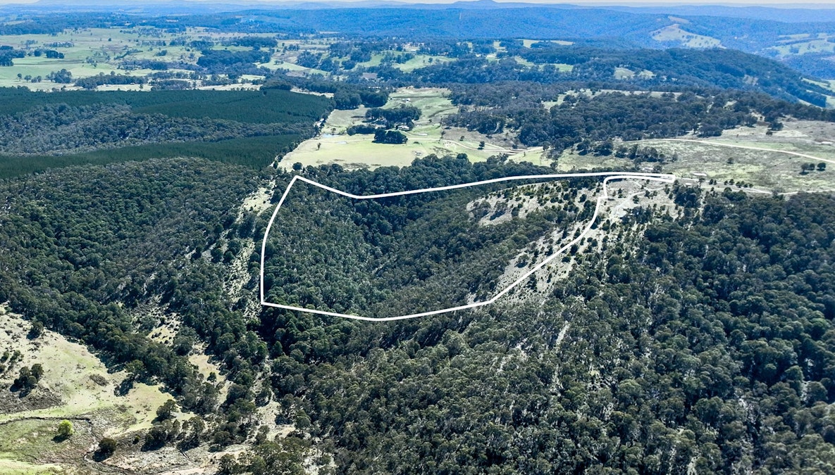 Lot/129 Sheepstation Forest Road, Oberon, NSW, 2787 - Image 15