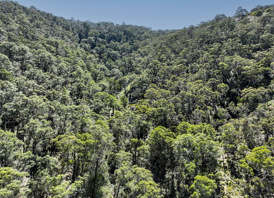 Lot/129 Sheepstation Forest Road, Oberon, NSW, 2787 - Image 11