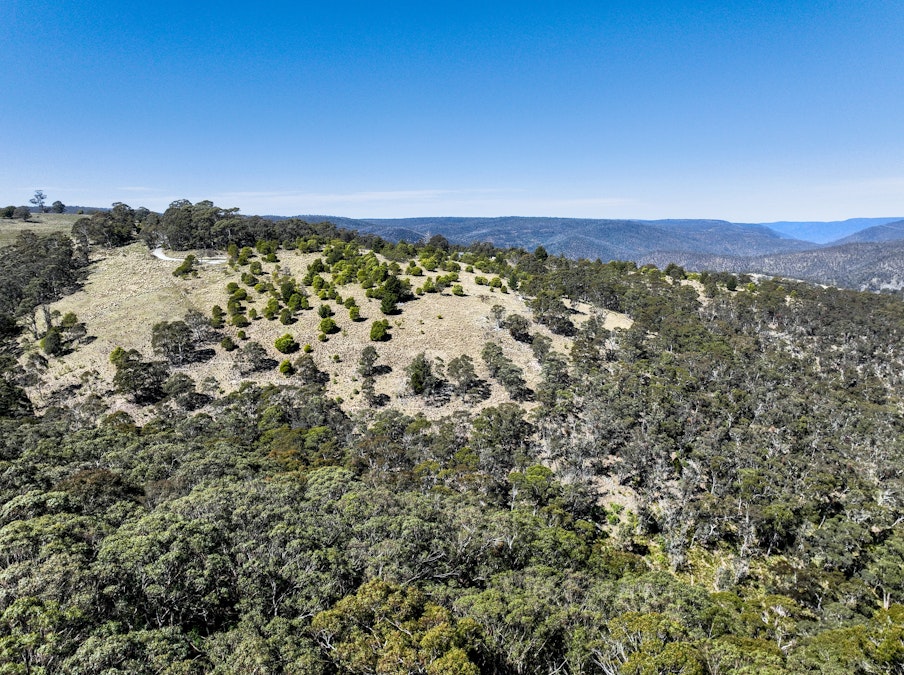 Lot/129 Sheepstation Forest Road, Oberon, NSW, 2787 - Image 9