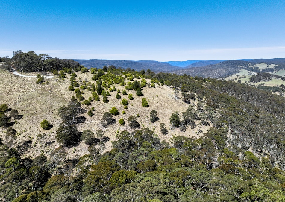 Lot/129 Sheepstation Forest Road, Oberon, NSW, 2787 - Image 4