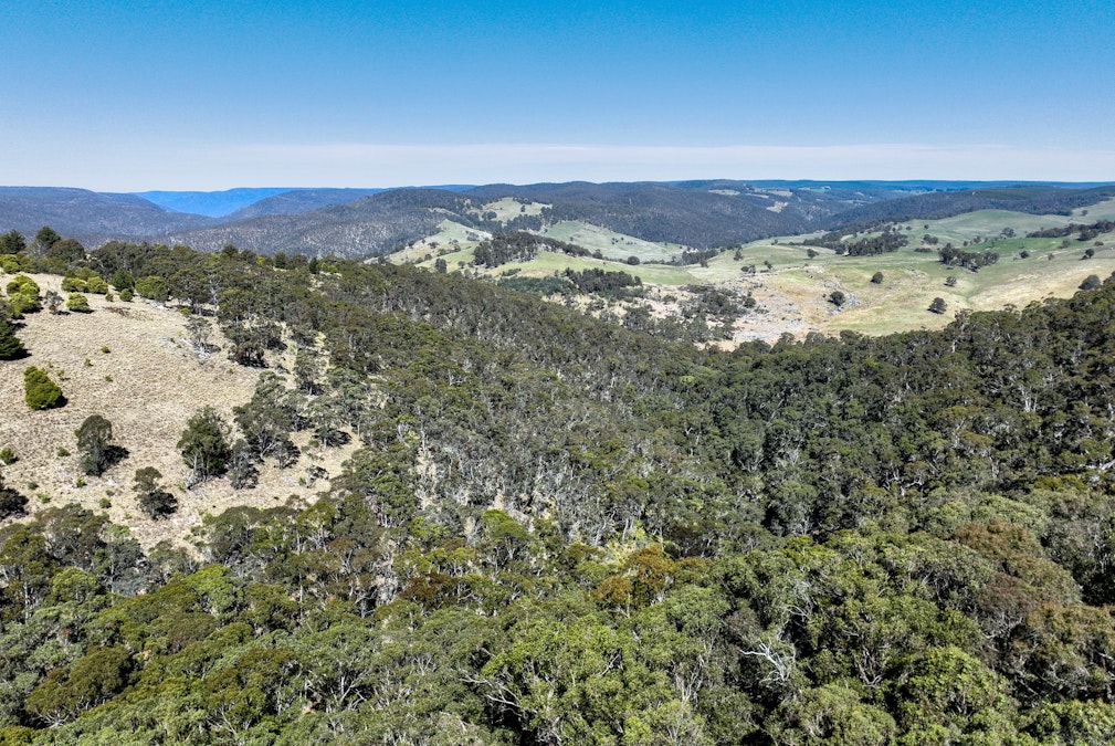 Lot/129 Sheepstation Forest Road, Oberon, NSW, 2787 - Image 7