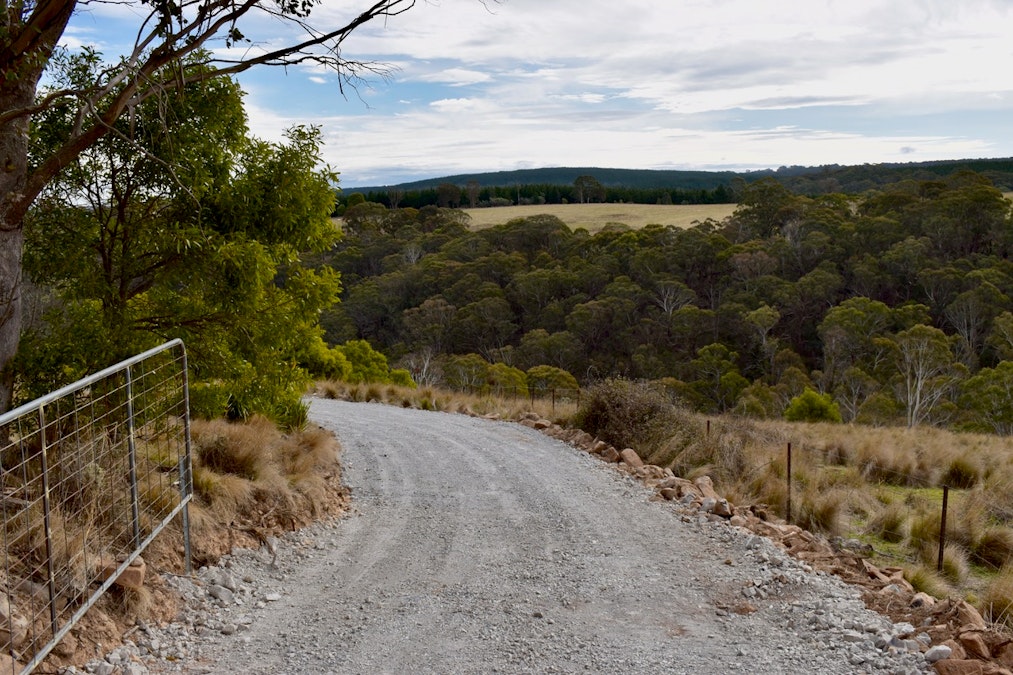 Lot/129 Sheepstation Forest Road, Oberon, NSW, 2787 - Image 1