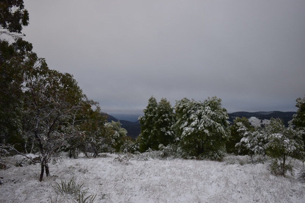 Lot/129 Sheepstation Forest Road, Oberon, NSW, 2787 - Image 14