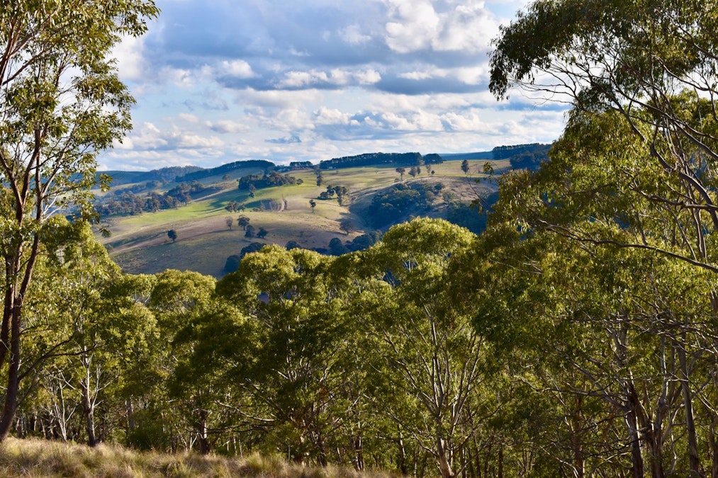 Lot/129 Sheepstation Forest Road, Oberon, NSW, 2787 - Image 8