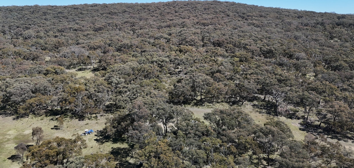 Black Mountain Falls Black Mountain Road, Fosters Valley, NSW, 2795 - Image 16