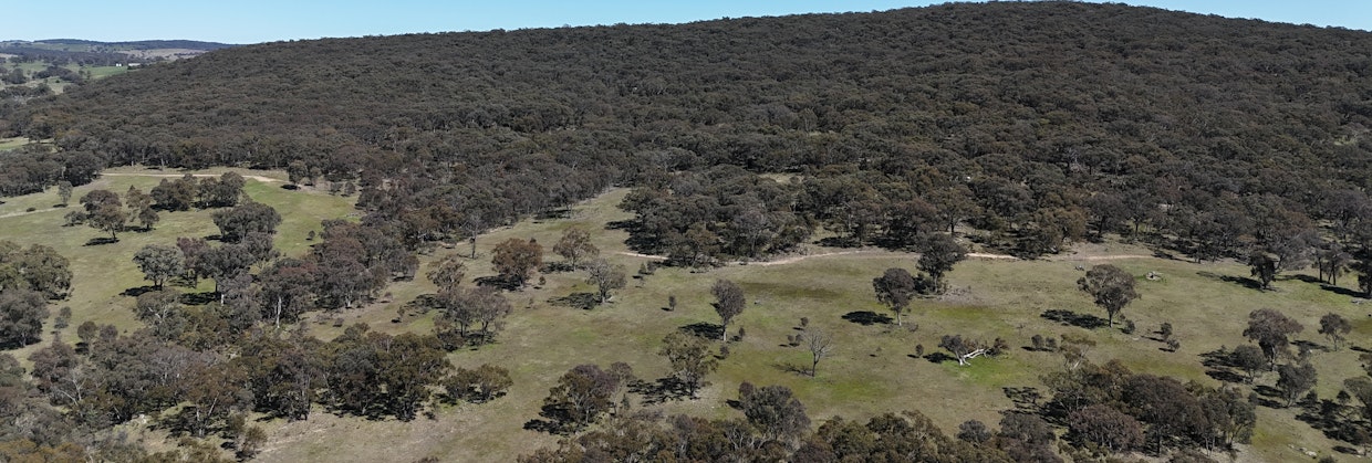 Black Mountain Falls Black Mountain Road, Fosters Valley, NSW, 2795 - Image 9