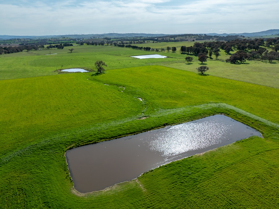 220 Lyons Road, Lyndhurst, NSW, 2797 - Image 6