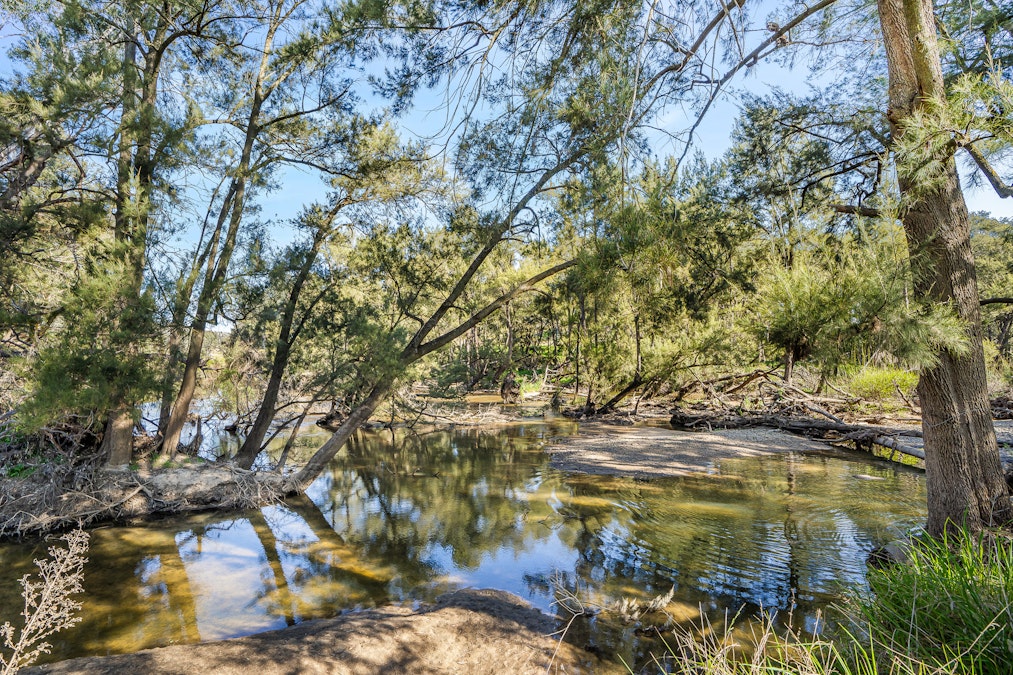 'Angle Burn' 101 Clearview Road, Darbys Falls, NSW, 2793 - Image 28