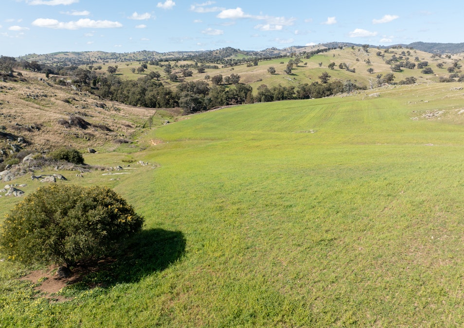 'Angle Burn' 101 Clearview Road, Darbys Falls, NSW, 2793 - Image 33