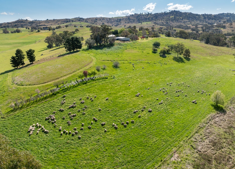 'Angle Burn' 101 Clearview Road, Darbys Falls, NSW, 2793 - Image 34