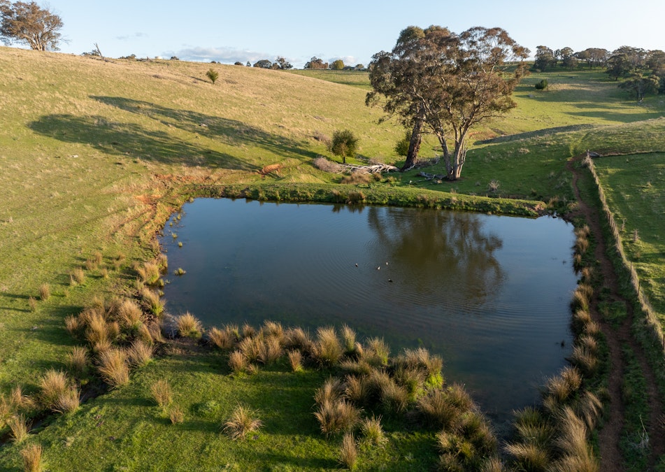 8 Carbine Road, Forest Reefs, NSW, 2798 - Image 13