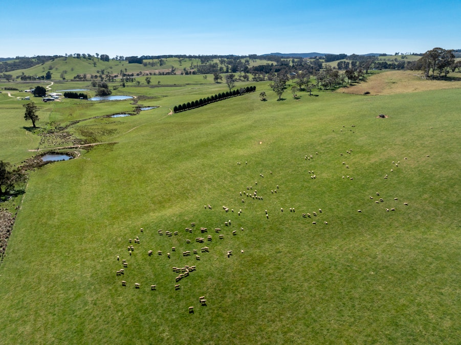 'Lochgary' Edith Road, Oberon, NSW, 2787 - Image 18