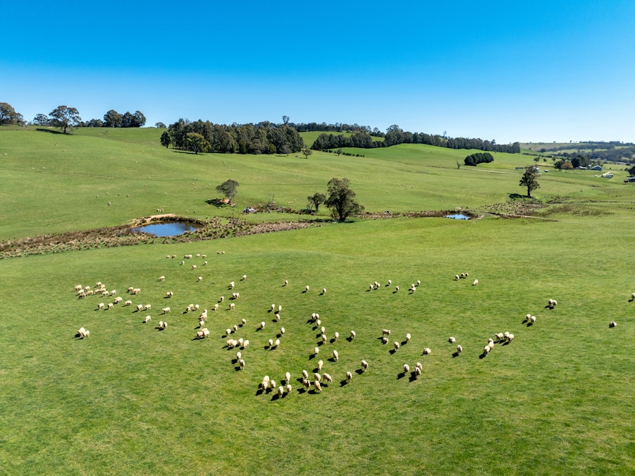 'Lochgary' Edith Road, Oberon, NSW, 2787 - Image 5