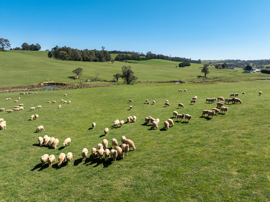 'Lochgary' Edith Road, Oberon, NSW, 2787 - Image 19