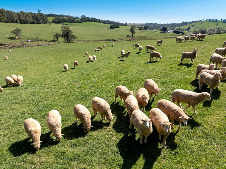 'Lochgary' Edith Road, Oberon, NSW, 2787 - Image 4