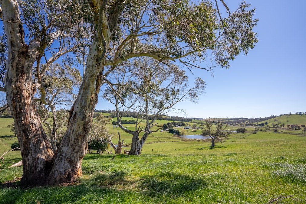 'Lochgary' Edith Road, Oberon, NSW, 2787 - Image 28