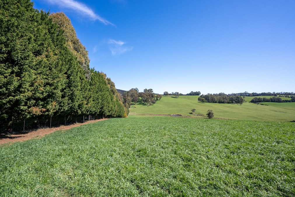 'Lochgary' Edith Road, Oberon, NSW, 2787 - Image 6