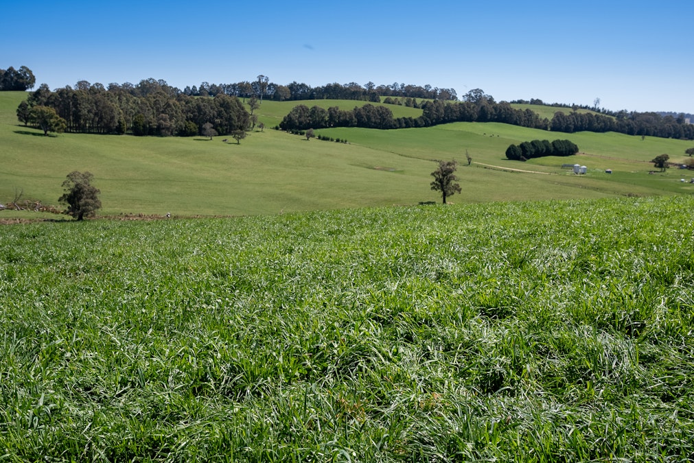 'Lochgary' Edith Road, Oberon, NSW, 2787 - Image 12