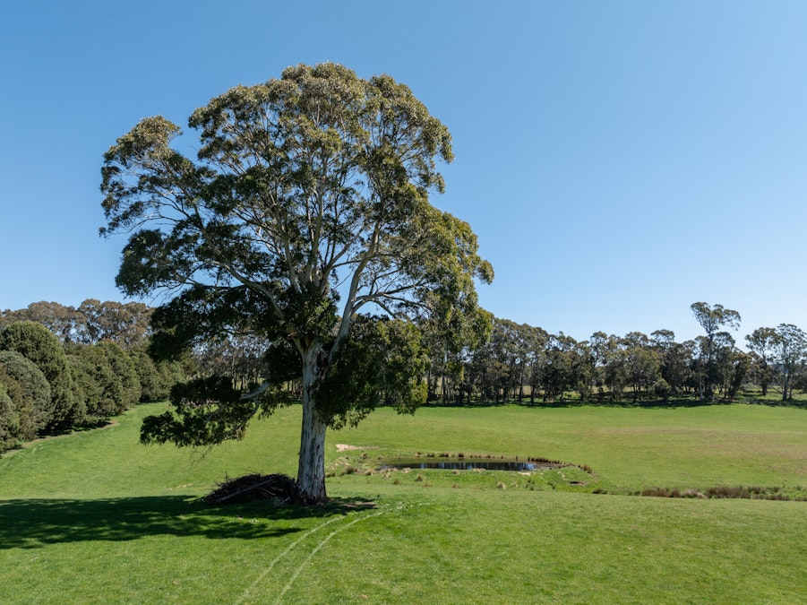 'Lochgary' Edith Road, Oberon, NSW, 2787 - Image 30