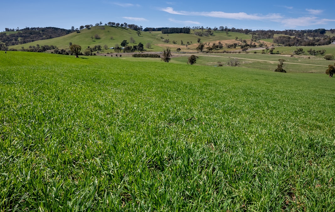 'Lochgary' Edith Road, Oberon, NSW, 2787 - Image 29