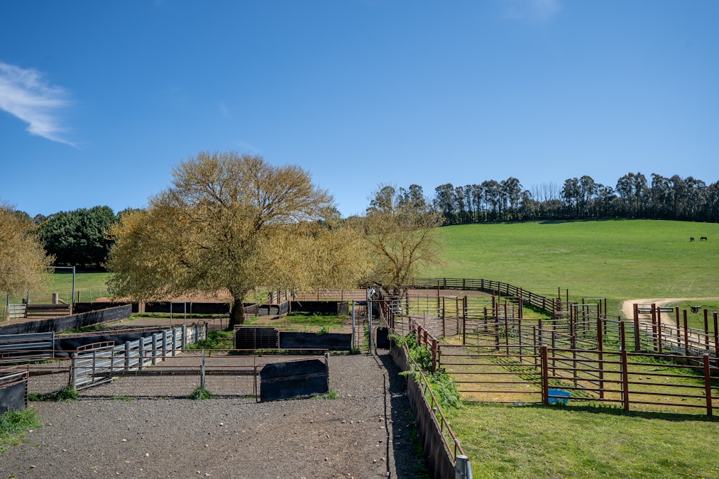 'Lochgary' Edith Road, Oberon, NSW, 2787 - Image 10