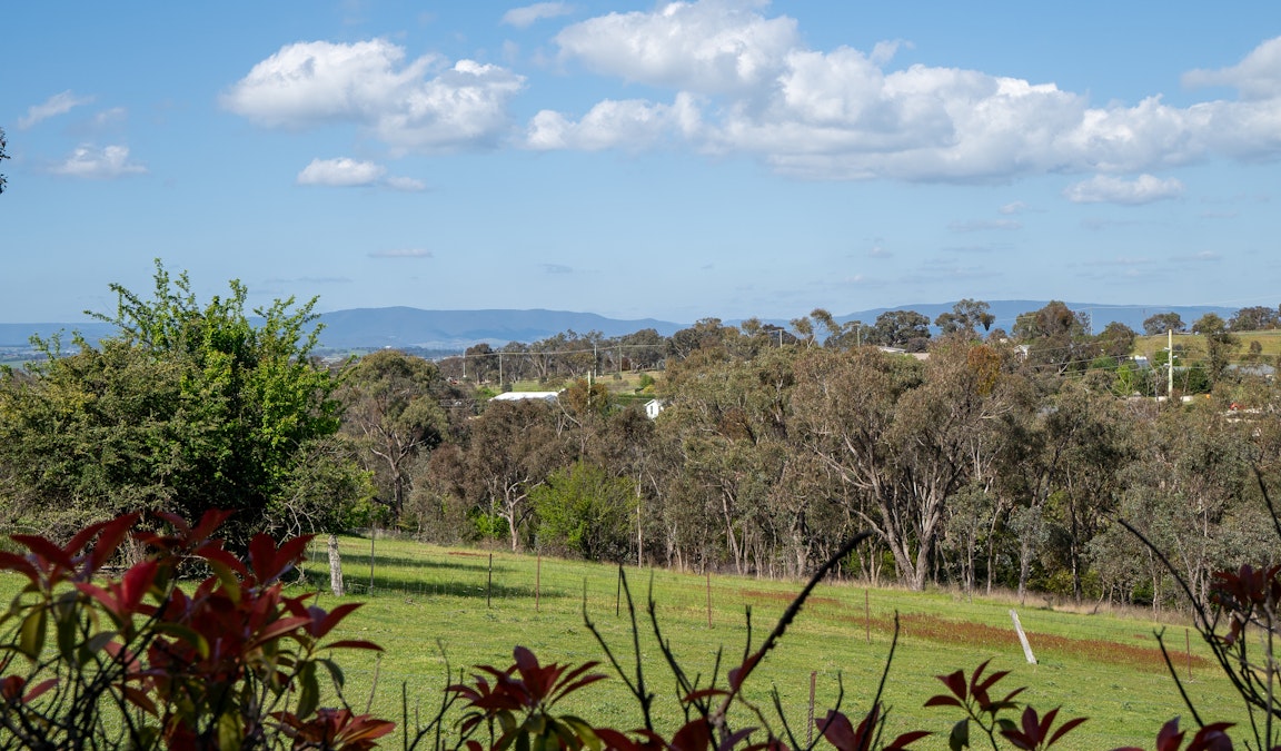 8a Delaware Cres, Robin Hill, NSW, 2795 - Image 21