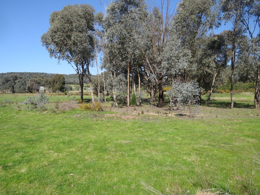 Lot 3 White Horse Road, Cowra, NSW, 2794 - Image 22