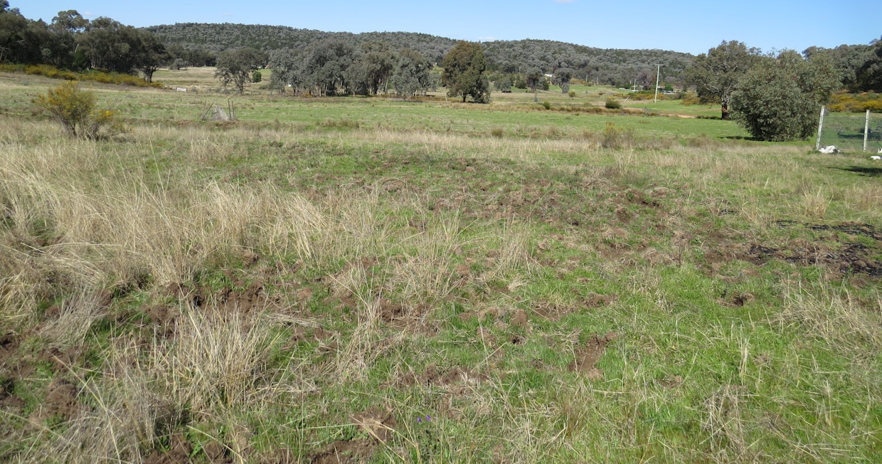 Lot 3 White Horse Road, Cowra, NSW, 2794 - Image 25