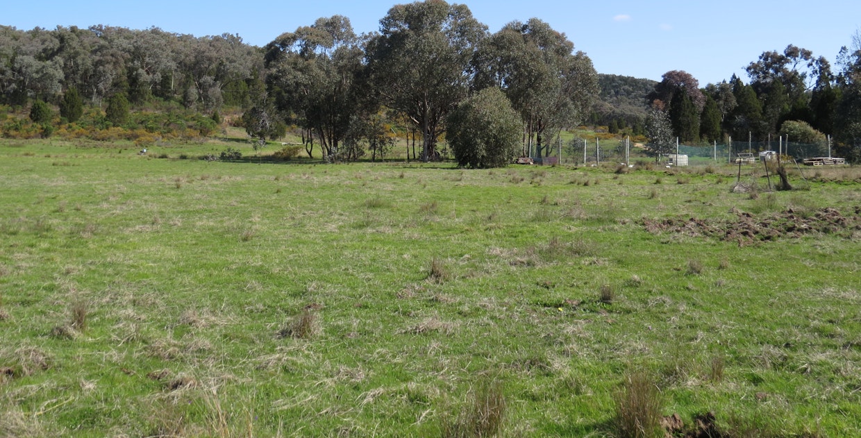 Lot 3 White Horse Road, Cowra, NSW, 2794 - Image 26