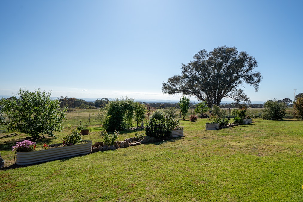 121B Moss Road, Cowra, NSW, 2794 - Image 15