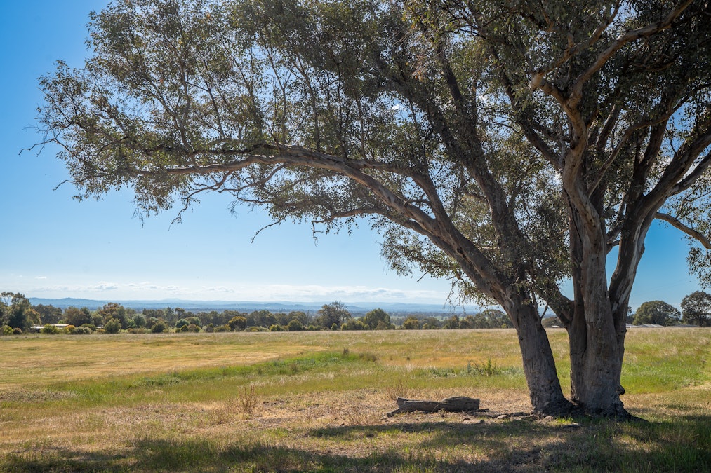 121B Moss Road, Cowra, NSW, 2794 - Image 16