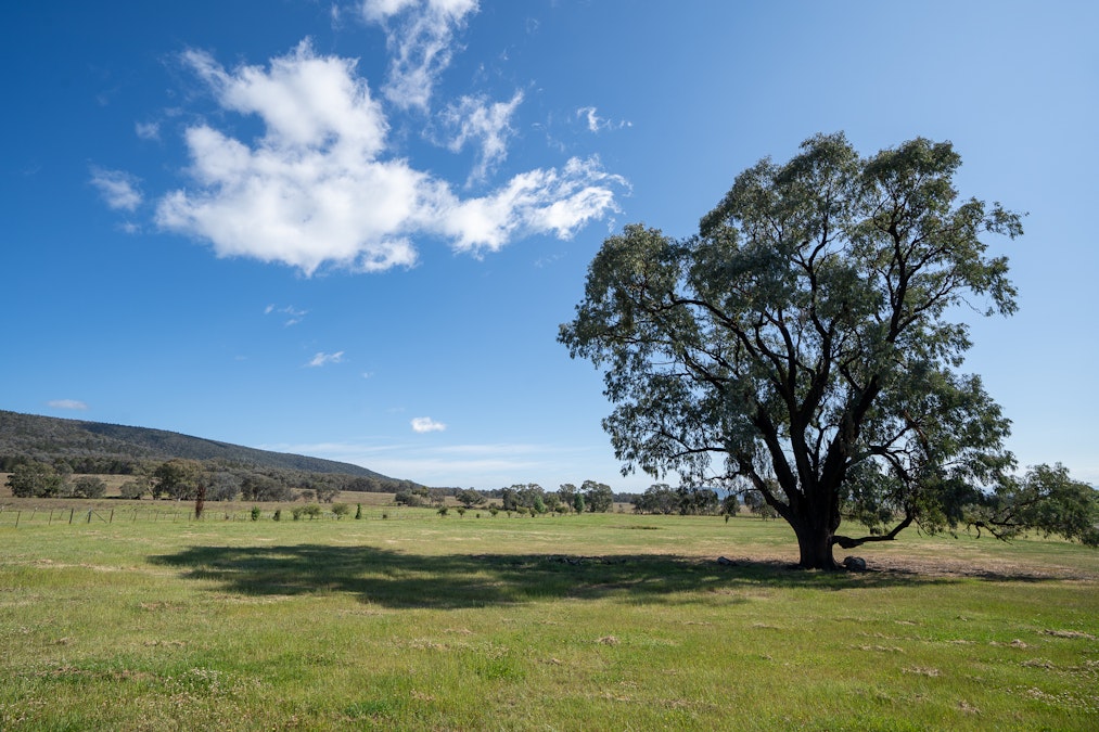 121B Moss Road, Cowra, NSW, 2794 - Image 29