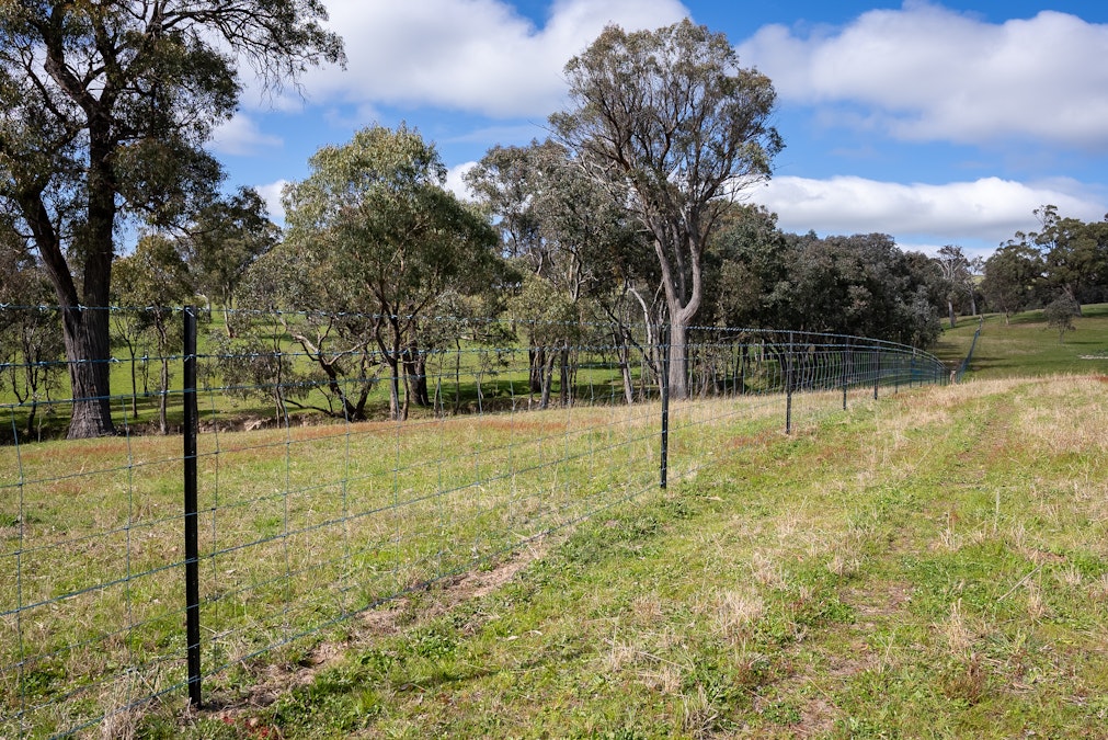 2160 Lagoon Road, Tannas Mount, NSW, 2795 - Image 28