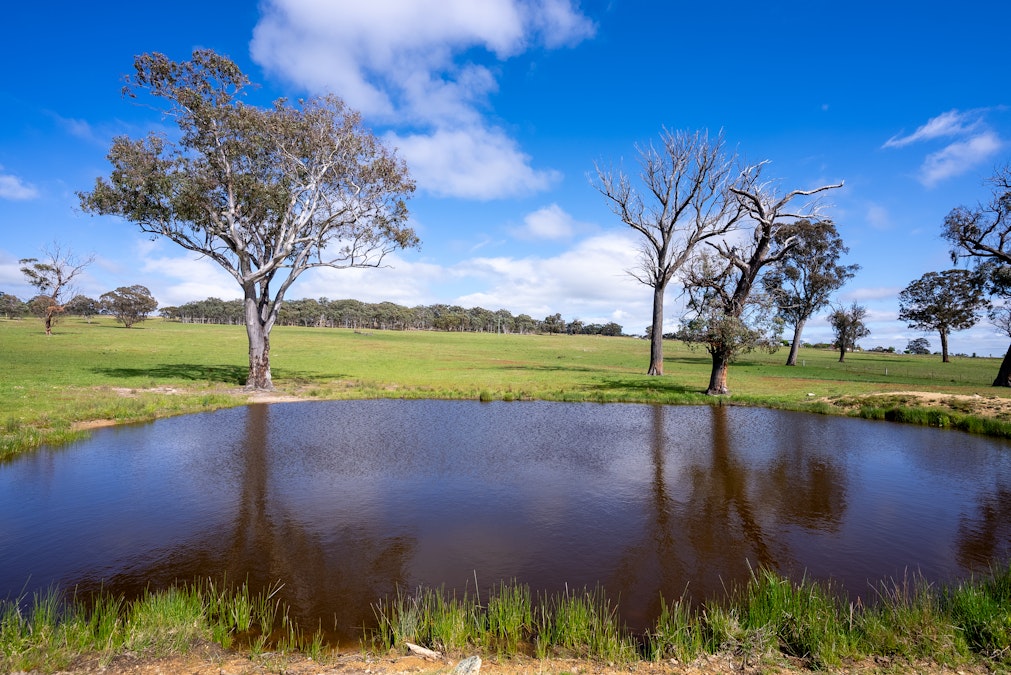 2160 Lagoon Road, Tannas Mount, NSW, 2795 - Image 17