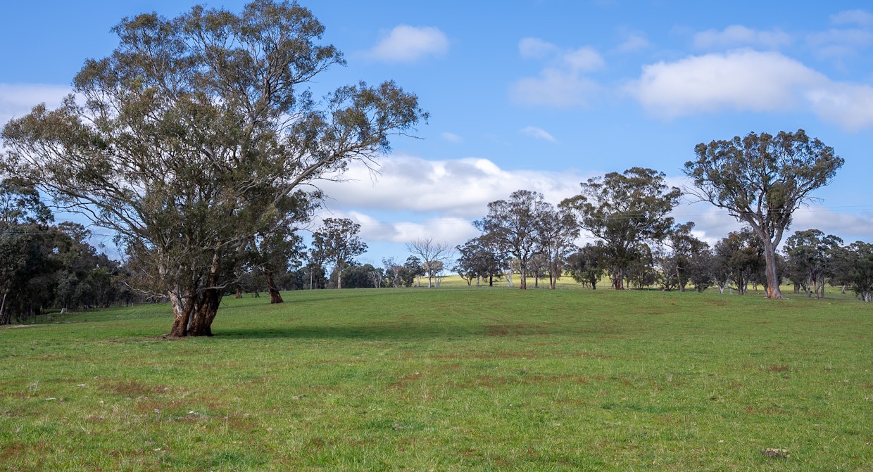 2160 Lagoon Road, Tannas Mount, NSW, 2795 - Image 23