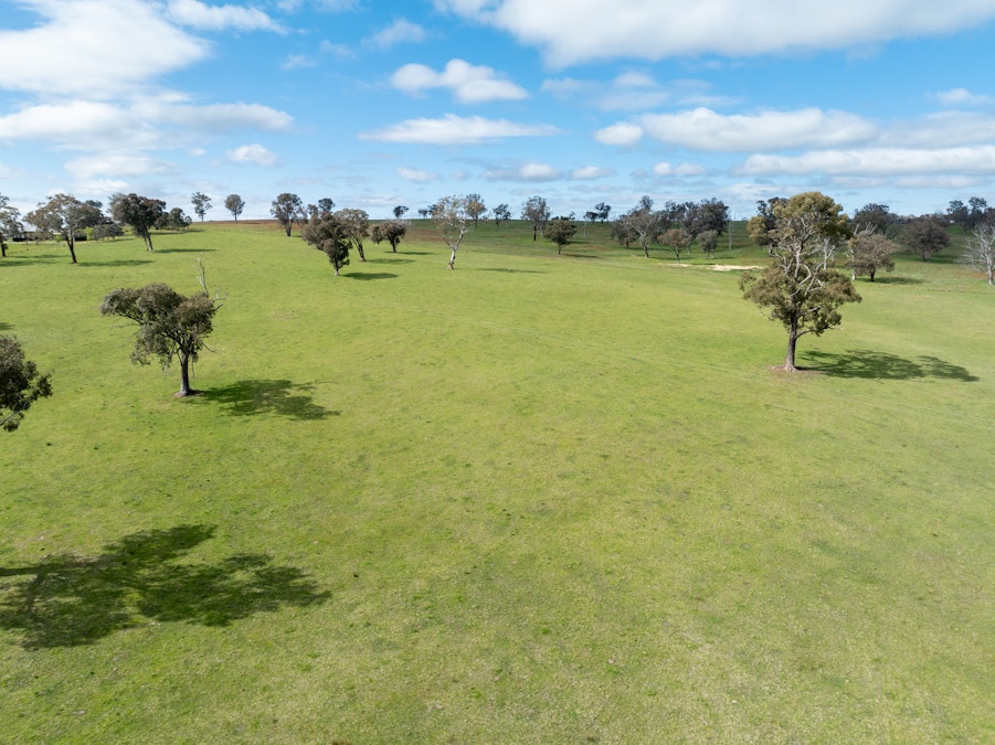 2160 Lagoon Road, Tannas Mount, NSW, 2795 - Image 24