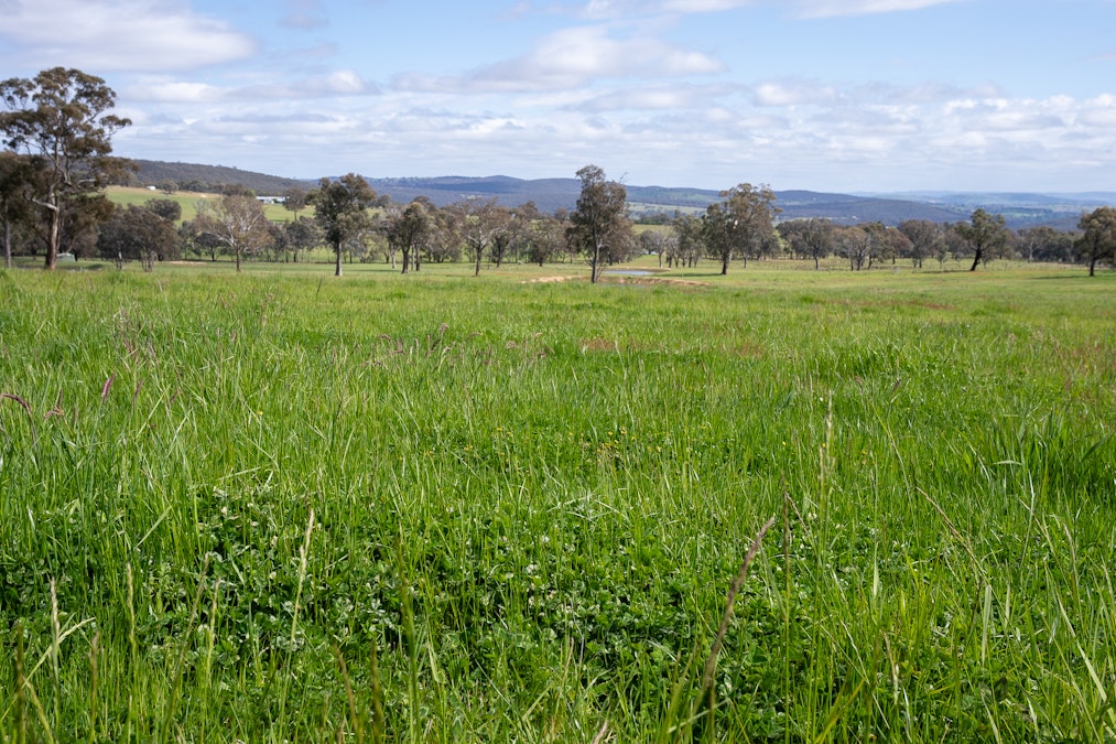 2160 Lagoon Road, Tannas Mount, NSW, 2795 - Image 16