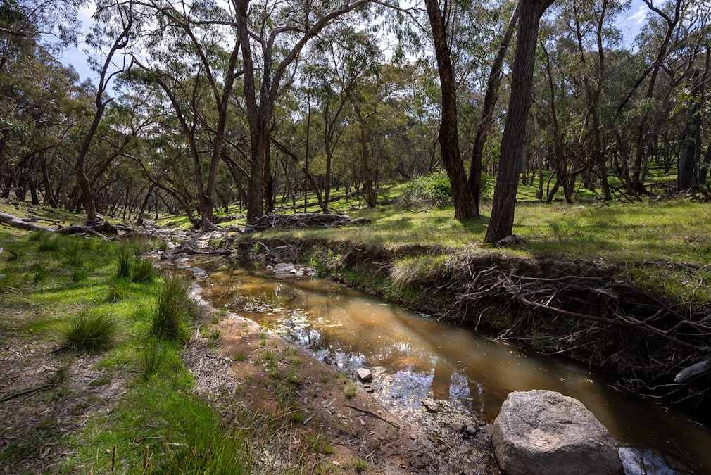 'Old Woman's Creek' 1820 Quartpot Road, Roseberg, NSW, 2793 - Image 4