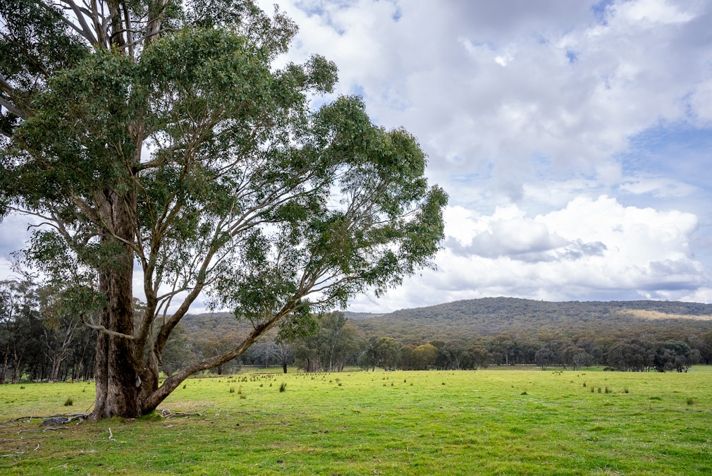 'Old Woman's Creek' 1820 Quartpot Road, Roseberg, NSW, 2793 - Image 22