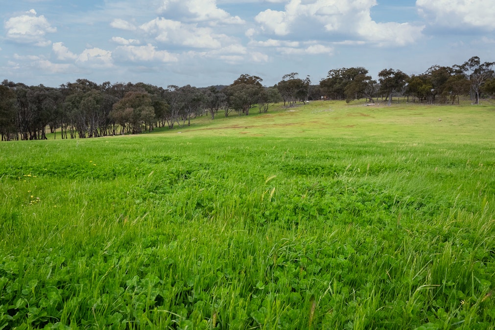 'Old Woman's Creek' 1820 Quartpot Road, Roseberg, NSW, 2793 - Image 23