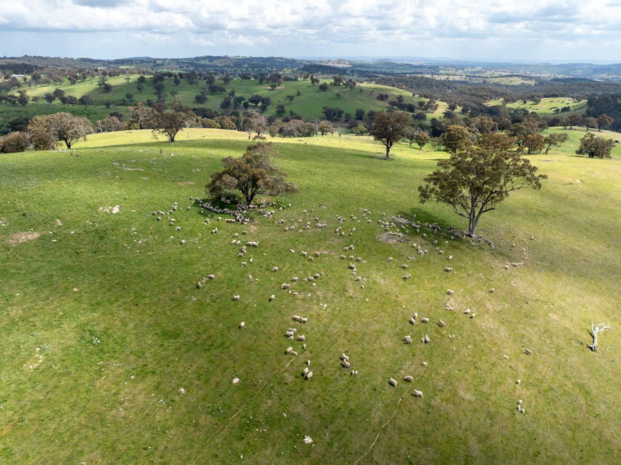 'Old Woman's Creek' 1820 Quartpot Road, Roseberg, NSW, 2793 - Image 32