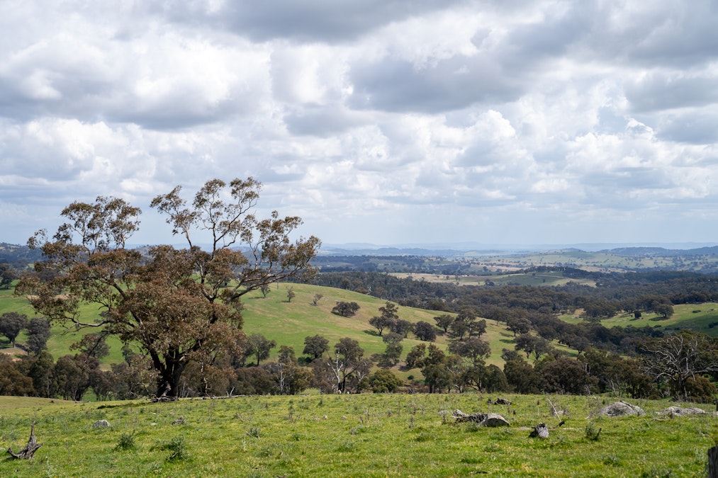 'Old Woman's Creek' 1820 Quartpot Road, Roseberg, NSW, 2793 - Image 33