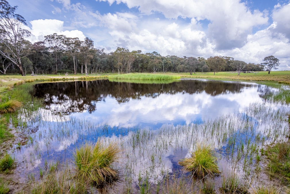 'Old Woman's Creek' 1820 Quartpot Road, Roseberg, NSW, 2793 - Image 34