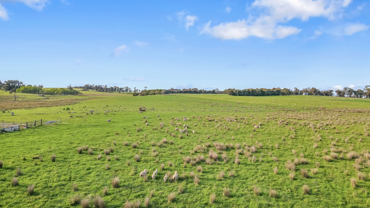 1327 Old Lachlan Road, Hobbys Yards, NSW, 2795 - Image 6