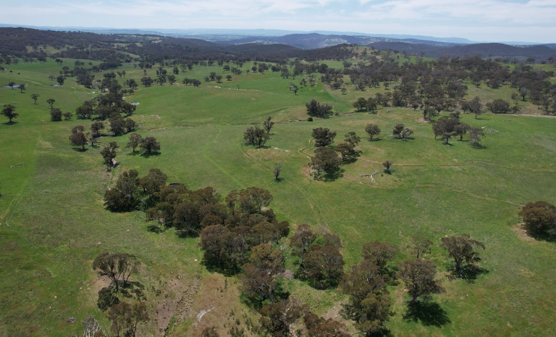 195 Burges Road, Caloola, NSW, 2795 - Image 2