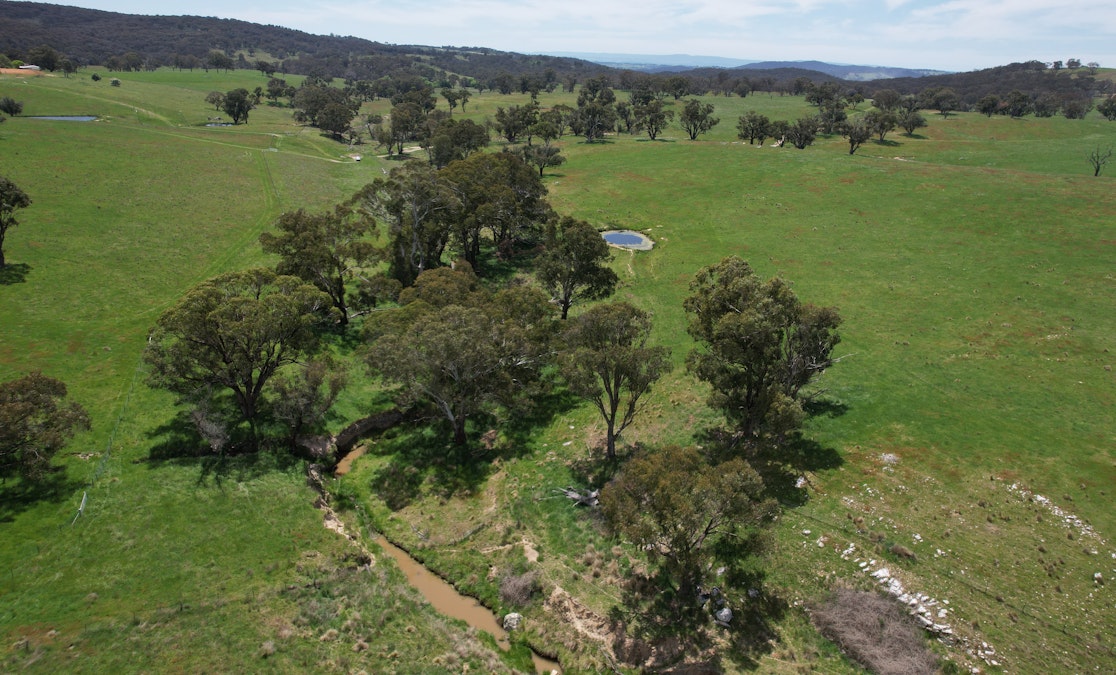 195 Burges Road, Caloola, NSW, 2795 - Image 14