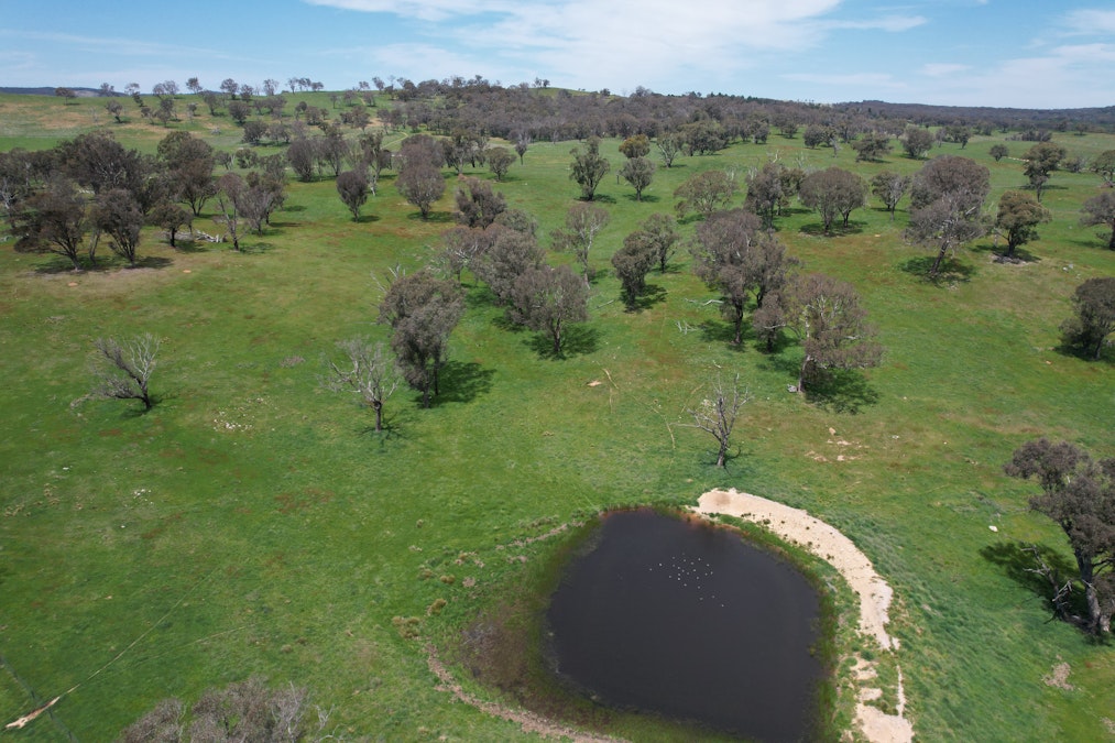 195 Burges Road, Caloola, NSW, 2795 - Image 6